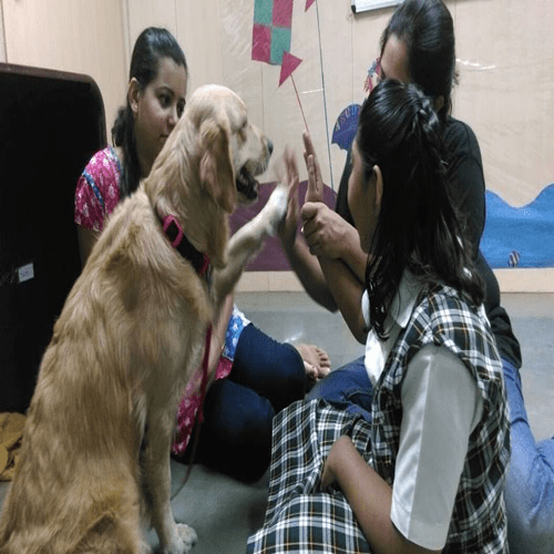 Animal-Assisted Activities for Children with Autism Spectrum Disorders